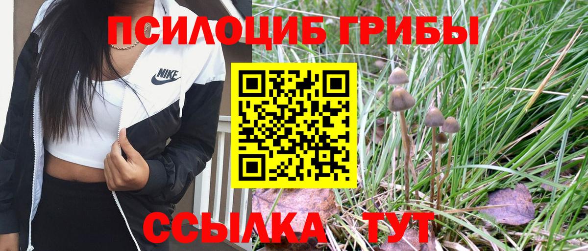 Галлюциногенные грибы Cubensis Ярославль